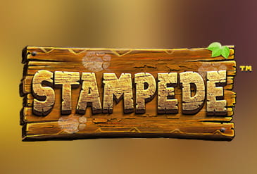 Stampede logo